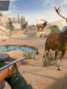 Jungle Hunting Simulator Games